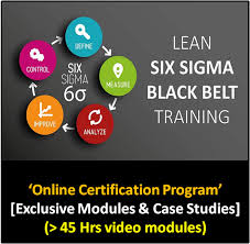 Lean Six Sigma Black Belt Quality Hub India