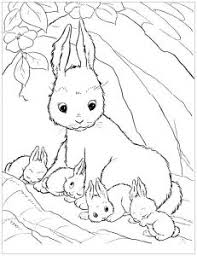 These bunny rabbit coloring pages are my latest addition to our coloring pages of animals series, which are big sets of animal coloring pages sorted by species. Rabbit Free Printable Coloring Pages For Kids