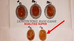 Mar 19, 2019 · march 19, 2019 march 19, 2019 ratuaura mani gajah cara mengaktifkan batu kristal mani gajah, cara mengaktifkan mani gajah kristal, cara menggunakan batu mani gajah untuk kejantanan, cara menggunakan mani gajah untuk dagang, cara menggunakan mani gajah untuk istri, cara menggunakan pelet mani gajah jarak jauh, doa mani gajah untuk memikat wanita. Khasiat Mani Gajah Untuk Pelet Dan Pengasihan By Aura Pedia