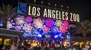 50 Off Los Angeles On Twitter Zoo Lights Los Angeles Zoo Los Angeles