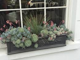 Is a high end window box company with over 1000 window box related products windowboxes.com is an article driven website for flower window boxes, inc. Going Beyond The Traditional Window Box Garden