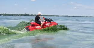Grand lake is an inland lake and absolutely huge, but quite shallow at the same time, only going up to seven feet in depth. Darkejournal Com Yuk Some Photos Of Grand Lake St Mary S