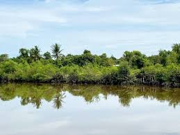 Foto somahyeh dan rana telah dirakamkan oleh seorang jurugambar. Tiada Siapa Yang Pernah Tahu Dan Rasa