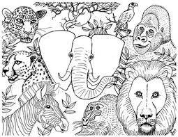 We've got a large collection of original colouring pages of african animals here, including monkeys and apes, elephants, giraffes, snakes, springboks, leopards this african animals circle colouring page is perfect for both adults and kids to enjoy, and has plenty of fun detail without being too daunting. African Animals Colouring Page By Apples And Pommes By Suzanne Munroe