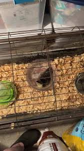 Operating hours, phone number, services information, and other locations near you. Rh Miller Pest Services Inc Pest Control Service Casselberry Florida Facebook 816 Photos