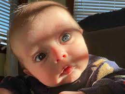 Fundraiser for Rebecca Amaral by Sophia Pietroski : Support Wyatt's  Recovery Journey