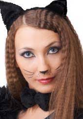Maybe you would like to learn more about one of these? The Cats Are Taking Over Halloween Scot Scoop News