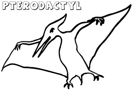 Free, printable coloring pages for adults that are not only fun but extremely relaxing. Simple Pterodactyl Coloring Page Free Printable Coloring Pages For Kids