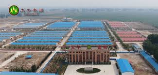 Sun dawu vividly described rsdl as worse than death, a description the others would agree with. Sun Dawu A Chinese Agricultural Entrepreneur S 36 Year Dream In The Era Of Reform And Opening Up Part One The Street Journal