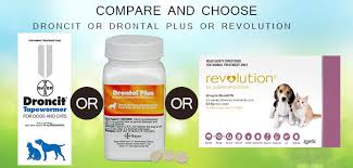 There is no need to fast before or during treatment. Dewormer Comparison Droncit To Drontal Plus To Revolution