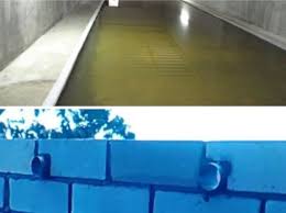 Apakah Harus Terdapat Kolam Dalam Gedung Walet Anakdagang