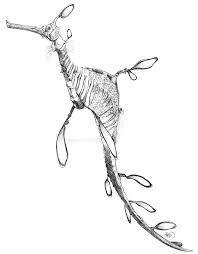 Weedy Sea Dragon Sketch Sometimes I Struggle To Believe They Didn T Come From The Mind Of Brian Froud Dragon Sketch Weedy Sea Dragon Sea Creatures Drawing