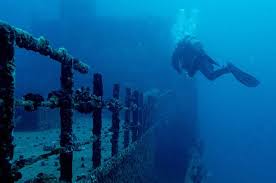 Information on how to make reservations and our payment options. Best Diving Sites In Hawaii Scuba Dive Reviews By Divezone