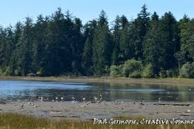Every effort is made to provide accurate and up to date. Where To Crab Clam In Nehalem Bay Oregon Department Of Fish Wildlife