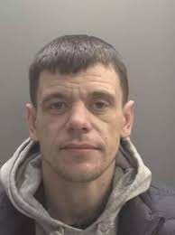 Named and shamed: 217 of the criminals dealt with by our courts in 2020 so  far