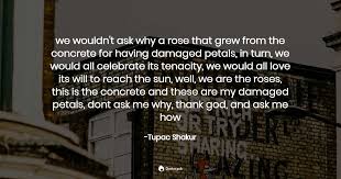 If you walked by a street and you was walking a concrete and you saw a rose growing from concrete, even if it had messed up petals and it was a little to the side you would marvel at just seeing a rose grow through concrete. We Wouldn T Ask Why A Rose That Grew Fr Tupac Shakur Quotes Pub