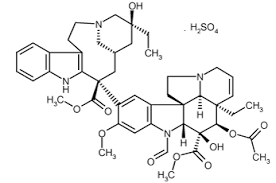 Vinca alkaloid vincristine oncovin useful in the treatment of: Vincristine Sulfate Bml T117 Enzo Life Sciences