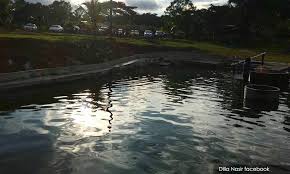 Kolam pancing ikan air masin, semenyih. Malaysiakini Kisah Tempat Sampah Haram Jadi Tempat Pelancongan