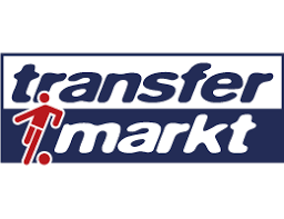 According to the ivw, it is in the top 25 most visited german websites, and one of the largest sport websites after kicker.de. Halfpage Ad Transfermarkt Media Impact