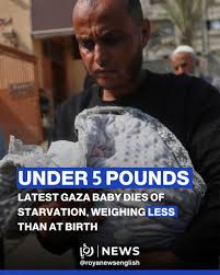 Yesterday in Khan Younis, Zainab Abu Halib's father carried his 5-month-old  daughter's lifeless body to her final resting place. Born weighing over 3  kilograms (6.6 pounds), Zainab had wasted away to less