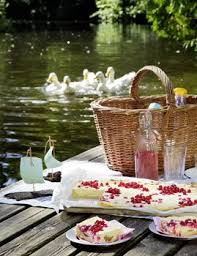aprikosen johannisbeer quarkkuchen johannisbeeren klein und vielseitig living at home herbst picknick picknick essen quarkkuchen