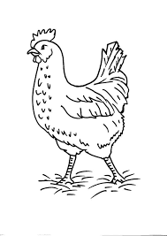 Disegni Animali In Fattoria Da Colorare Gallina Disegno Gallina Disegnare Animali Disegni Disegni Da Colorare