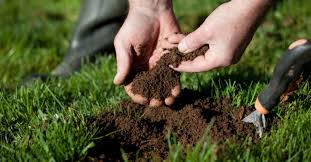 We did not find results for: The Benefits Of Using Topsoil Blank Industries Llc