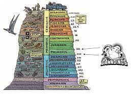 Humans evolved at the end of the cenozoic. Triassic Jurassic Transition Period