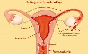 Masa subur wanita setelah haid berapa hari1. Masa Subur Wanita Kapan Dan Seperti Apa Tandanya Good Doctor Tips Kesehatan Chat Dokter Beli Obat Online