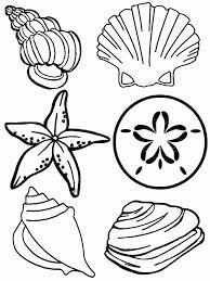 Seashell Coloring Page Precious Moments Coloring Pages Ocean Coloring Pages Beach Coloring Pages