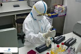 The institut de technologie du cambodge (itc) (institute of technology of cambodia, khmer: Institut Pasteur Du Cambodge Performs 100 000 Tests In Cambodia When In Phnom Penh