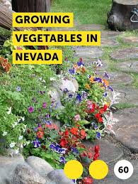 Learn Growing Vegetables In Nevada How To Guides Tips And Tricks Growing Vegetables Plants Vegetable Garden Planning