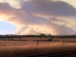 Garden state park in flames during the 1977 fire that burned it to the ground. Abc Adelaide On Twitter Huge Volume Of Smoke Being Generated By Cherry Gardens Fire Stay With Abcadelaide For Updates Cfs Davidbevansa Ali Clarke Elizakirsch Https T Co Fvdptkb2zx