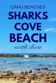 Shark S Cove Snorkeling On The North Shore Oahu Hawaii Oahu Vacation Oahu Beaches Oahu