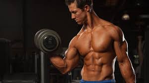 2 week diet plan weight loss forum the best way to lose weight. How Much Muscle Can You Gain