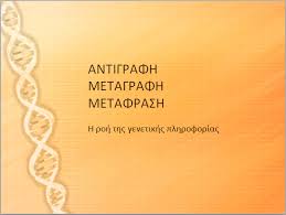 Βιολογια γ' λυκειου θετικησ κατευθυνσησ(ο.π.θ.σ.) Antigrafh Metagrafh Metafrash Kefalaio 5 2 Biologia G Gymnasioy Bio Blog