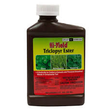 Alligare msm 60 per acre, plus 1/4 lb. 8 Best Herbicide For Creeping Charlie 2021 Reviews Best Garden Outdoor