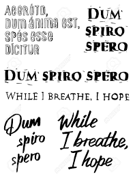Dum spiro spero wax seal charm, latin motto, while i breath, i hope, cicero, rome, orator, prose stylist, wax seal jewelry, hope necklace gildedlilycharms 5 out of 5 stars (381) € 33.69. Latin And English Lettering Dum Spiro Spero While I Breathe I Hope Royalty Free Cliparts Vectors And Stock Illustration Image 145851452