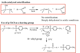 3 Esterification Of Fatty Acid The Diagram Above Illustrates An Download Scientific Diagram