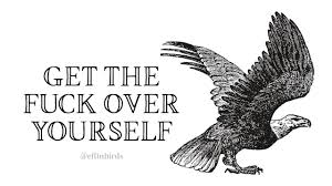 Bird Bird Bird Is The Word Movie New Post On Effinbirds Effin Words Birds