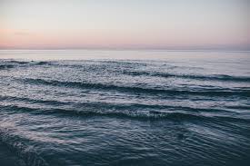 Skåne är sveriges sydligaste landskap. Visit Skane A Wonderful Week In Sweden Our Food Stories