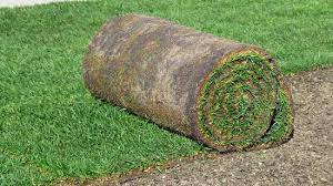 We did not find results for: Gazon Naturel En Rouleau Prix Livraison 2021 Pelouse Instantanee