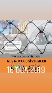 Kus Filesi Resmi Kus Uygulamalar