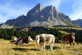 Roda De Putia Antermoia Untermoj Roda De Putia Putia Peitler Kofel Giro Passo Delle Erbe Antermoia Passeggiata Tour Escursioni Passeggiate Luoghi