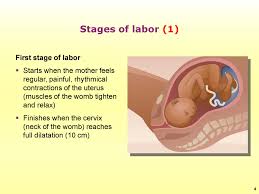Image result for First Stage of Labor