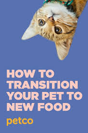 Transitioning Your Dog Or Cat To A New Pet Food Quickly Can Result In Upset Stomachs And Other Gastrointestinal Issues Be With Images Cute Baby Puppies Food Animals Pets