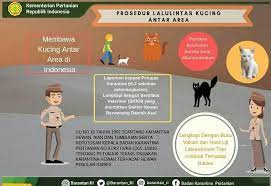 Misalnya, jika anda melihat trenggiling dijual. 4 Langkah Membawa Anjing Dan Kucing Menggunakan Pesawat Tanya Dokter Hewan