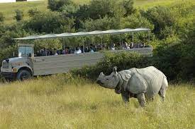 Puntos esenciales en tanjung lesung. Best Safari Park Winners 2020 Usa Today 10best