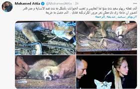 محررة تقنية، هدفي حل الكثير من المشاكل التي تواجه مستخدمي الايفون، وتقديم الإفادة للجميع بأهم البرامج و التطبيقات و الألعاب للأيفون. ÙÙŠØ¯ÙŠÙˆ Ø¨Ø¹Ø¯ Ù‡Ø¬ÙˆÙ… Ø§Ù„Ù†Ø¬ÙˆÙ… Ø£ÙˆÙ„ Ø±Ø¯ Ù…Ù† Ø±ÙŠÙ‡Ø§Ù… Ø³Ø¹ÙŠØ¯ Ø¹Ù„Ù‰ ØªØ¹Ø°ÙŠØ¨ Ø«Ø¹Ù„Ø¨ Ù…ØµØ± Ø§Ù„Ø¹Ø±Ø¨ÙŠØ©