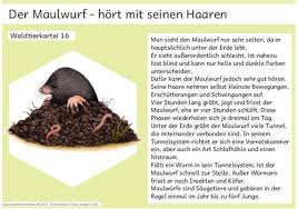 Material Intern Zaubereinmaleins Designblog Zaubereinmaleins Waldtiere Einmaleins